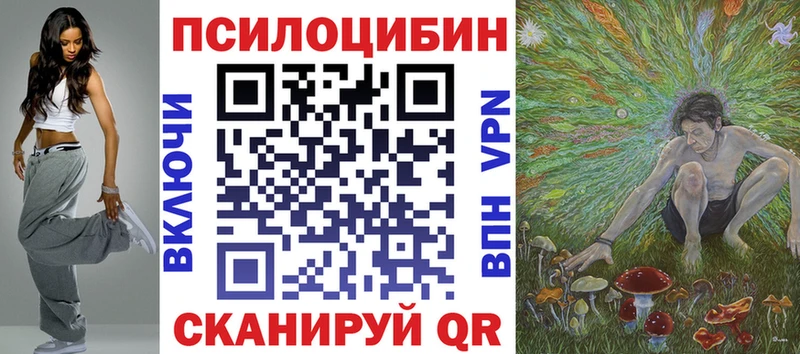 где найти   Шебекино  Псилоцибиновые грибы мухоморы 