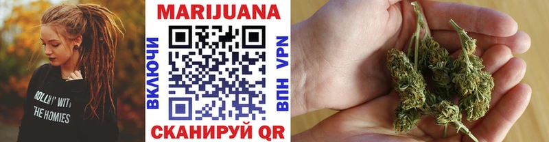 закладка  Шебекино  Шишки марихуана семена 